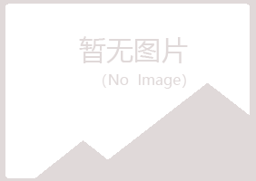 日照岚山过客机械有限公司